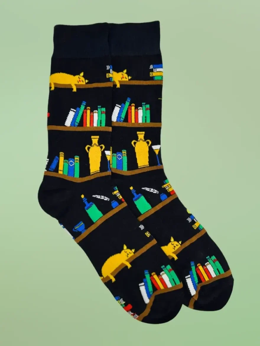 Gato libro