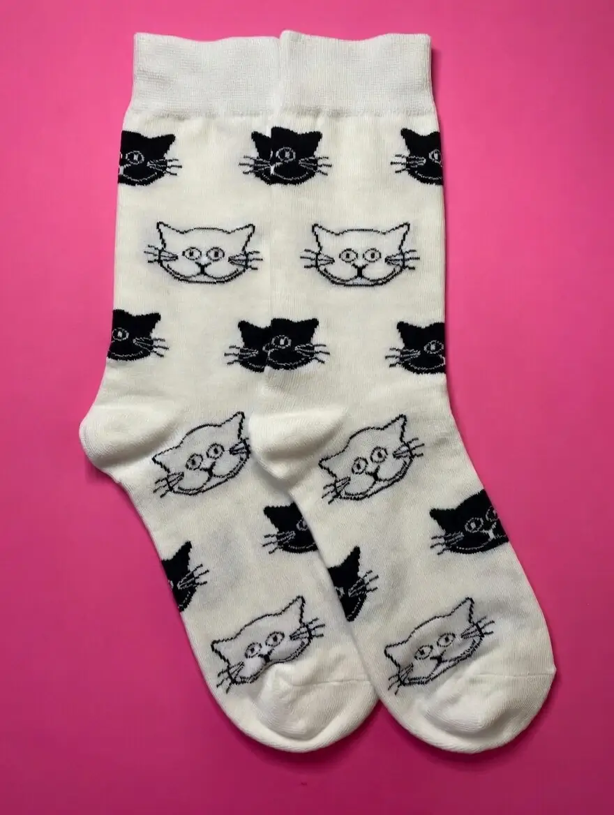 Gato blanco