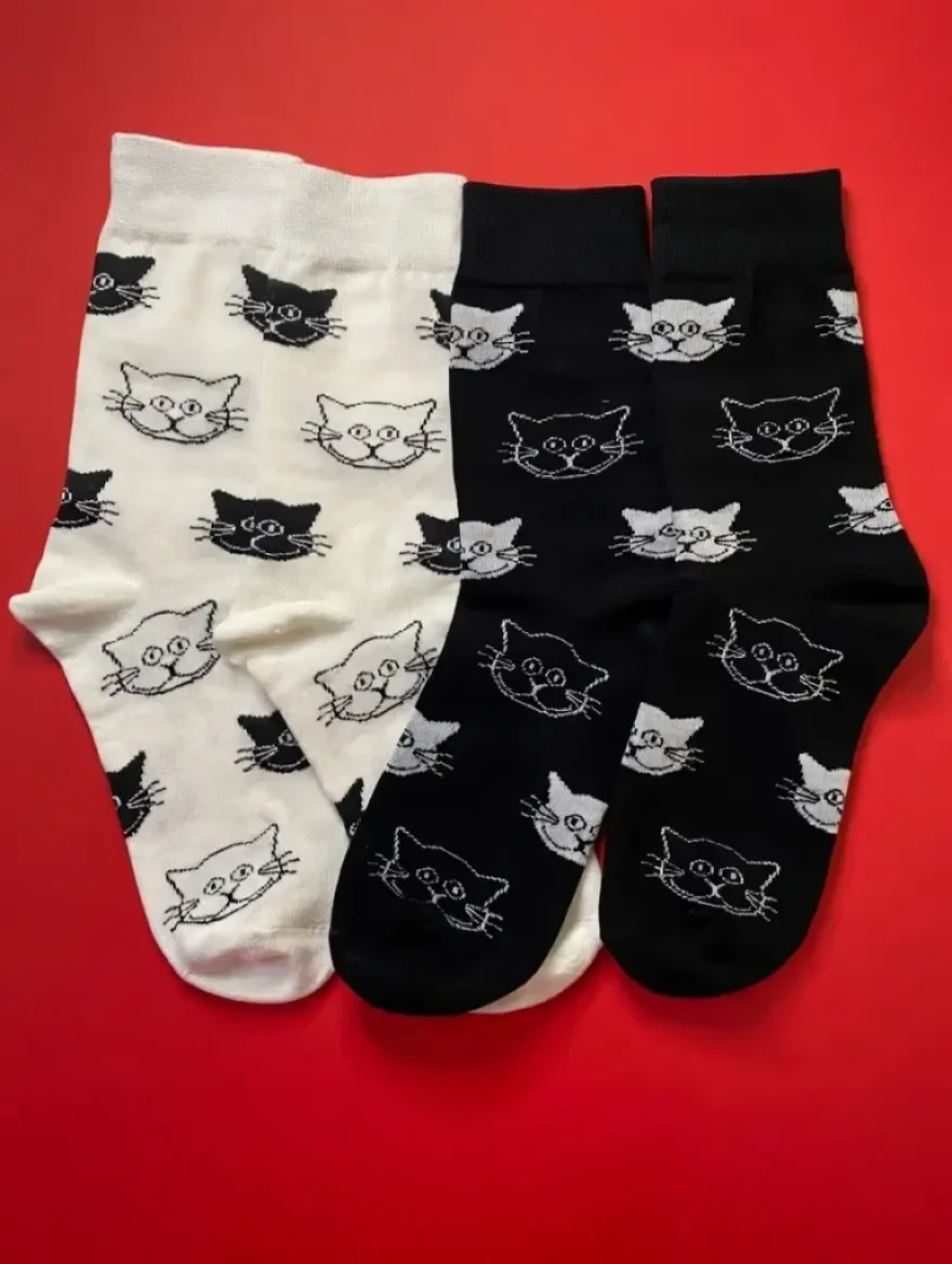 Pack Gato